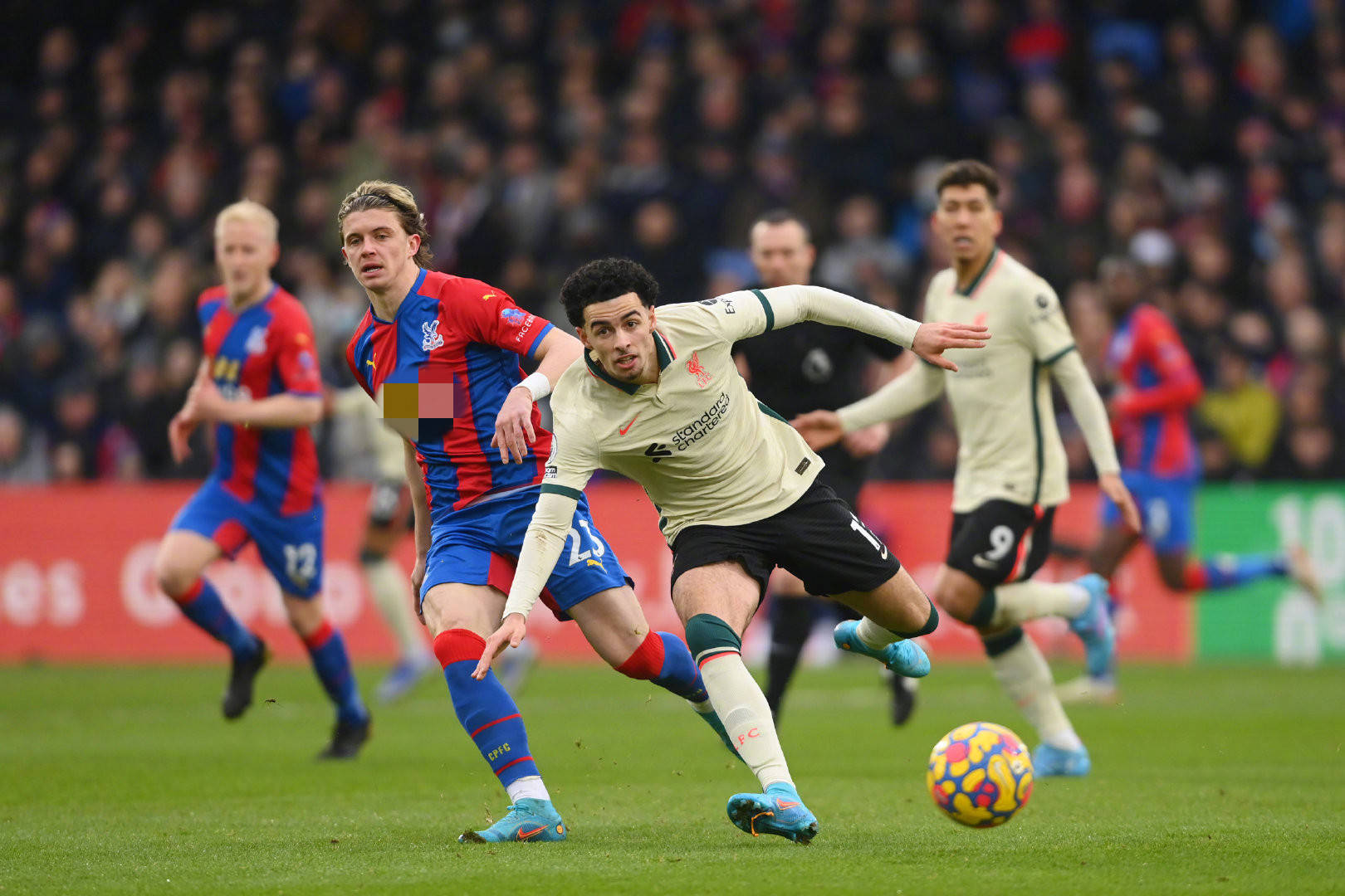 究提供了宝 究提供了宝